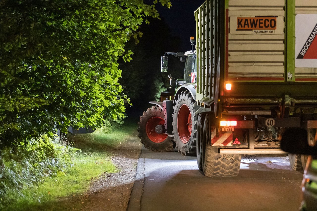 Bild 20 - Maisernte